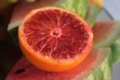 Cornus sanguinea 'Anny's Winter Orange'