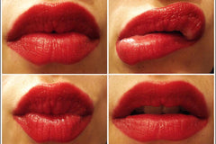 Heuchera 'Lipstick'